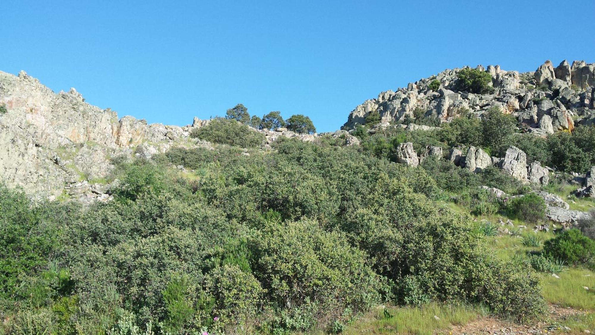 Appartement Complejo Turistico Rural Fuente Taray à Malagón Extérieur photo