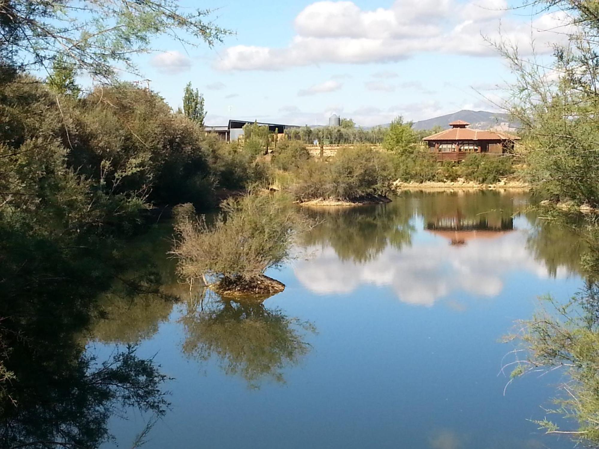 Appartement Complejo Turistico Rural Fuente Taray à Malagón Extérieur photo