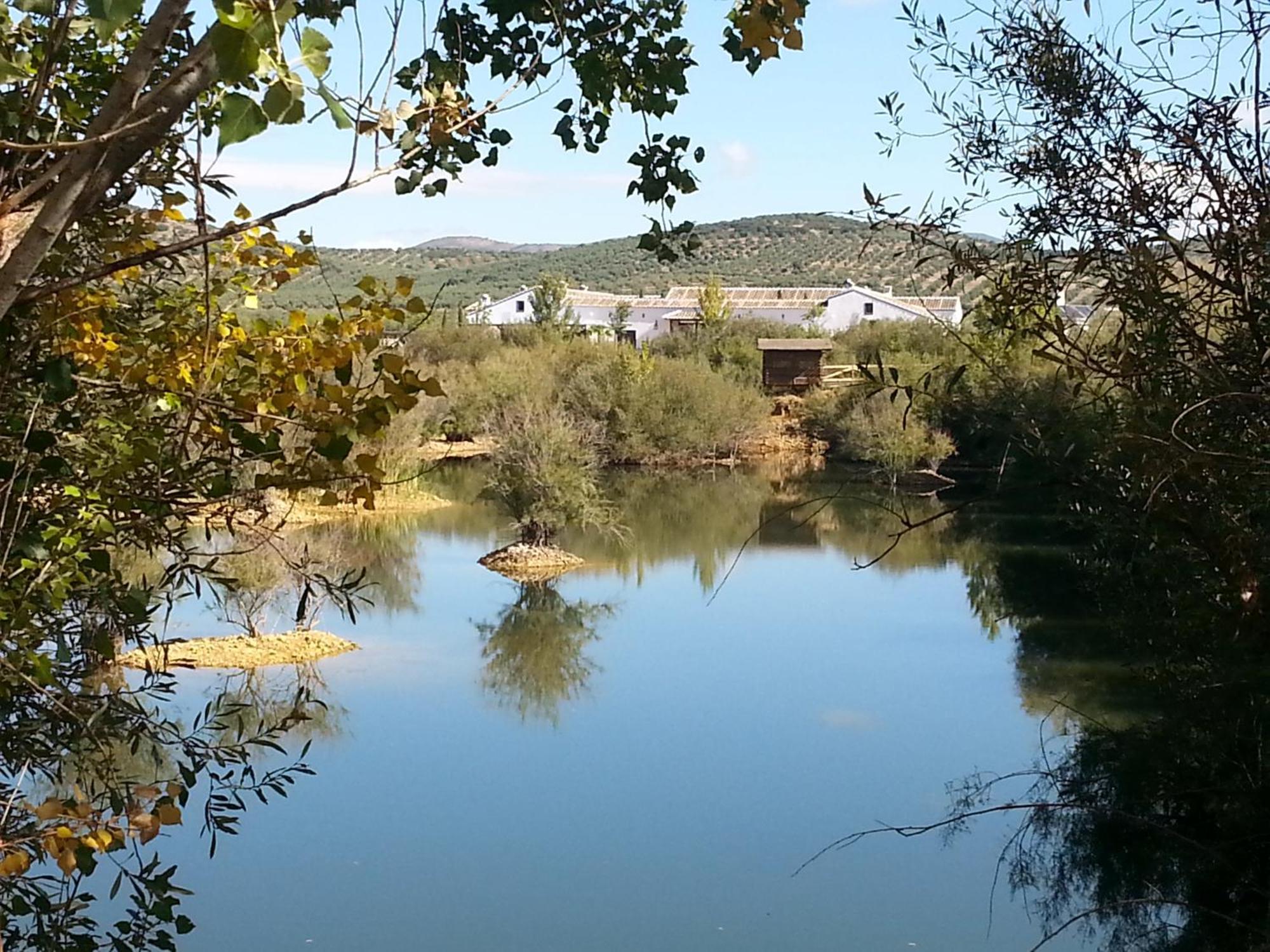 Appartement Complejo Turistico Rural Fuente Taray à Malagón Extérieur photo